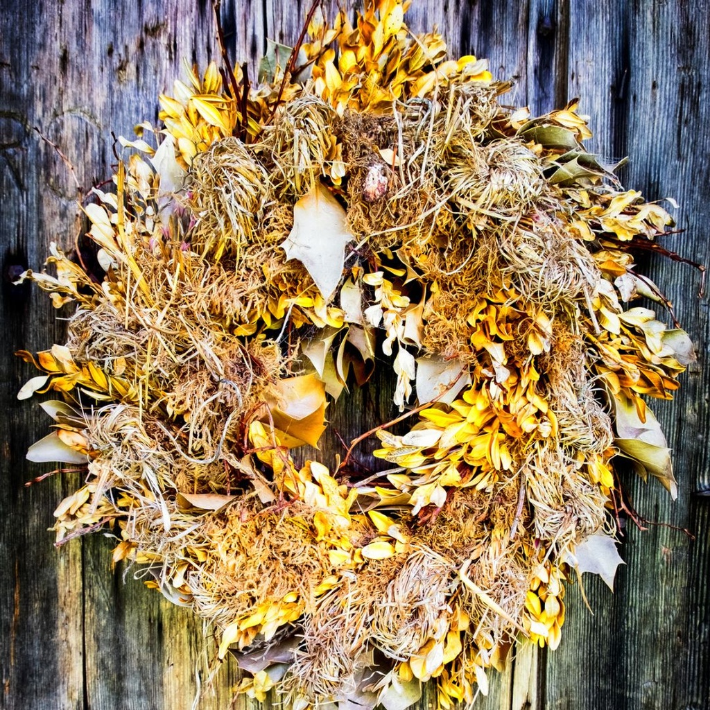 Wreath of dry flowers